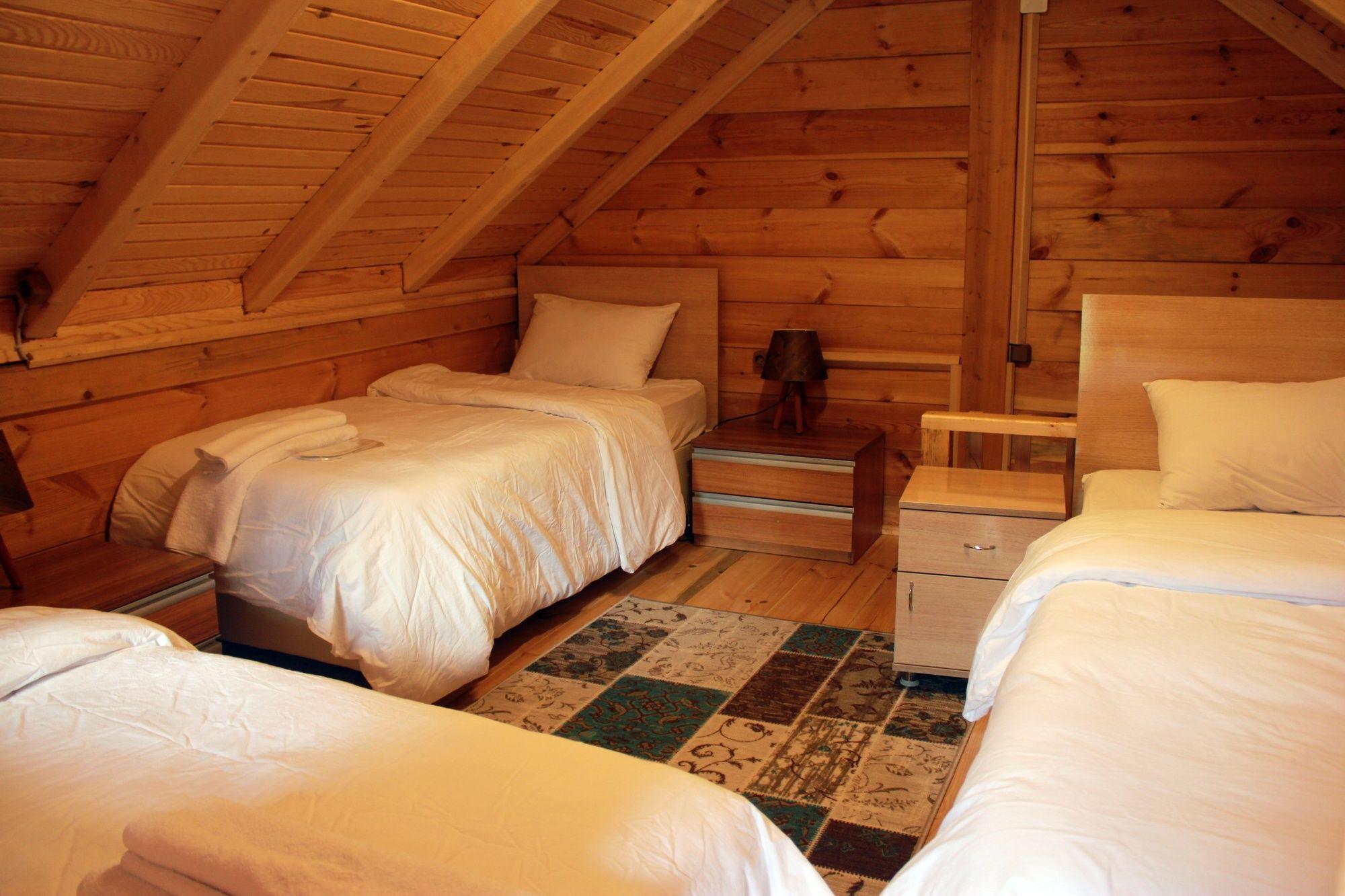 Tanura Bungalows Çamlıhemşin エクステリア 写真